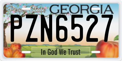 GA license plate PZN6527