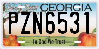 GA license plate PZN6531