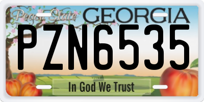 GA license plate PZN6535