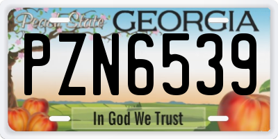 GA license plate PZN6539