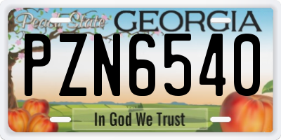 GA license plate PZN6540