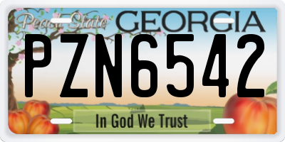 GA license plate PZN6542