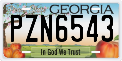 GA license plate PZN6543