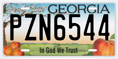 GA license plate PZN6544