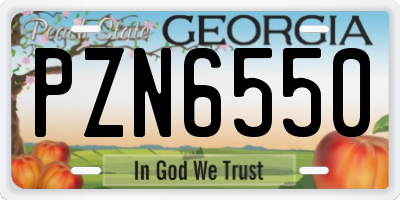 GA license plate PZN6550