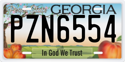 GA license plate PZN6554