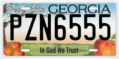 GA license plate PZN6555