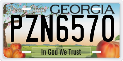 GA license plate PZN6570