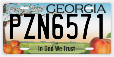 GA license plate PZN6571