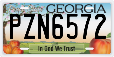 GA license plate PZN6572