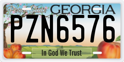 GA license plate PZN6576