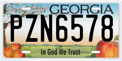 GA license plate PZN6578