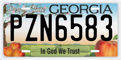 GA license plate PZN6583