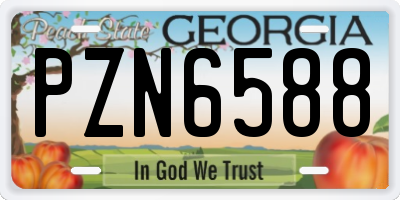 GA license plate PZN6588