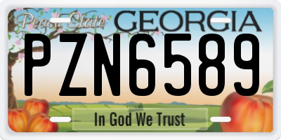 GA license plate PZN6589