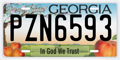 GA license plate PZN6593