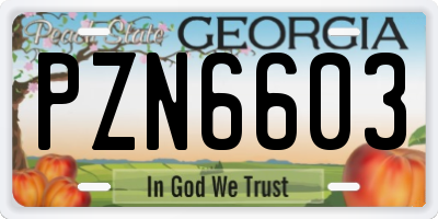 GA license plate PZN6603