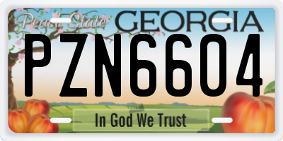 GA license plate PZN6604