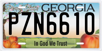 GA license plate PZN6610