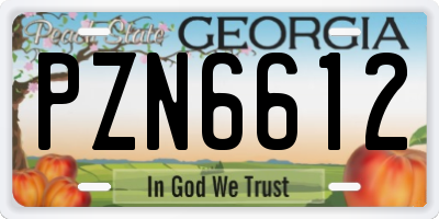 GA license plate PZN6612