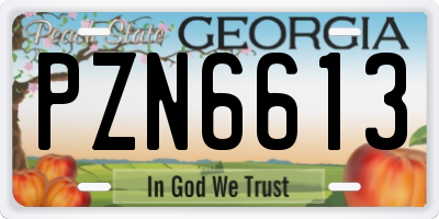 GA license plate PZN6613