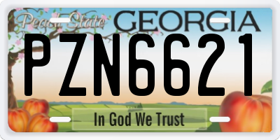 GA license plate PZN6621