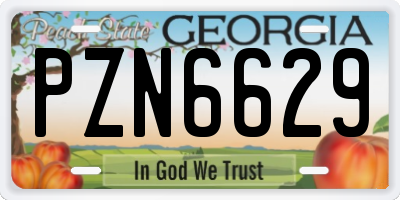 GA license plate PZN6629