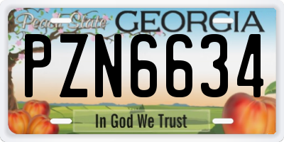 GA license plate PZN6634