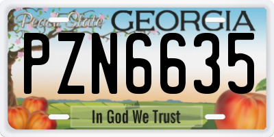 GA license plate PZN6635