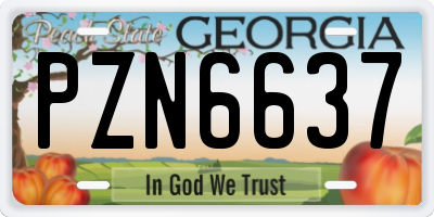 GA license plate PZN6637