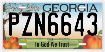 GA license plate PZN6643