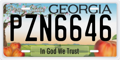GA license plate PZN6646