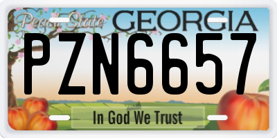 GA license plate PZN6657
