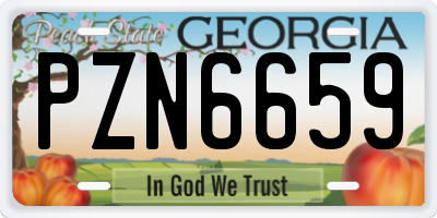 GA license plate PZN6659
