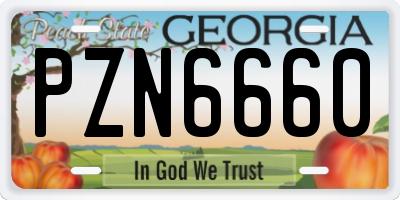 GA license plate PZN6660