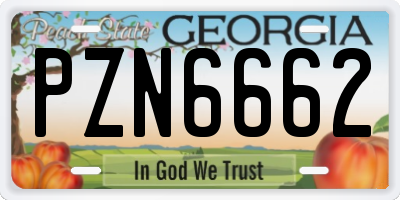 GA license plate PZN6662