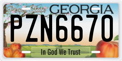 GA license plate PZN6670