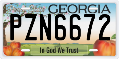 GA license plate PZN6672