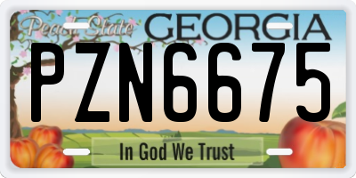 GA license plate PZN6675