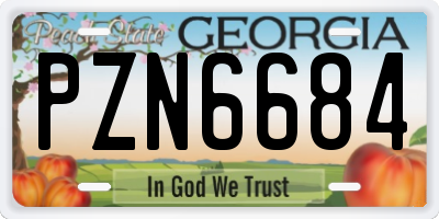 GA license plate PZN6684
