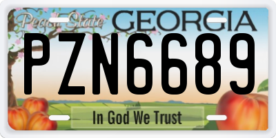 GA license plate PZN6689