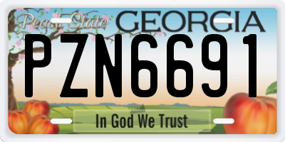 GA license plate PZN6691