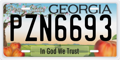 GA license plate PZN6693