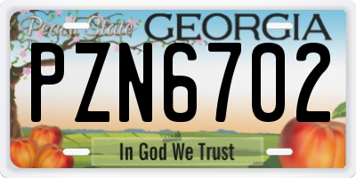 GA license plate PZN6702