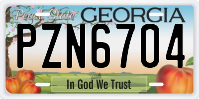 GA license plate PZN6704
