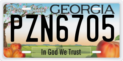 GA license plate PZN6705