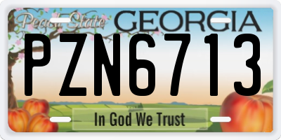 GA license plate PZN6713
