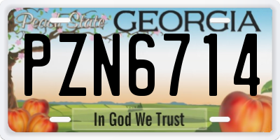 GA license plate PZN6714