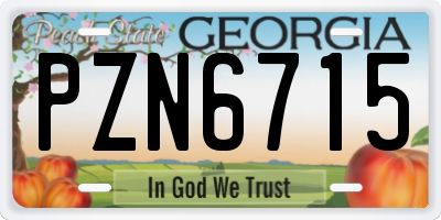 GA license plate PZN6715