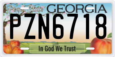 GA license plate PZN6718